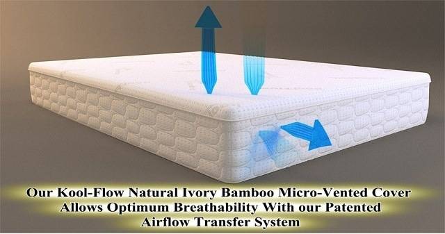 Snuggle-Pedic Mattress-Queen