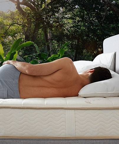 Mattress Support