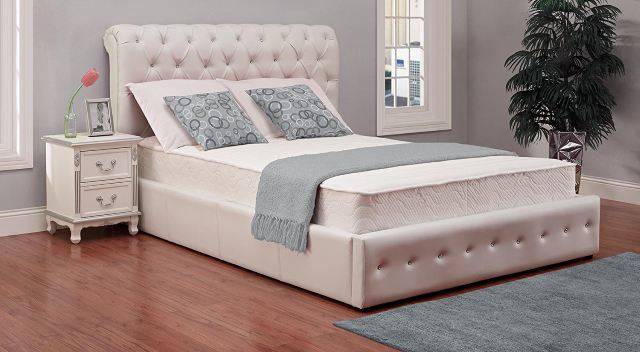 Signature Sleep Contour 8”